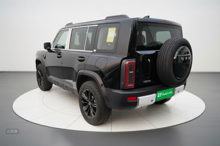 Haval Raptor New Energy 2025 #5 Haval Raptor New Energy 2025 car image #5