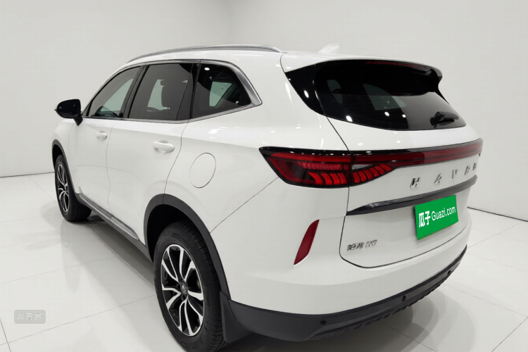 Haval H6 2020 #5 Haval H6 2020 car image #5