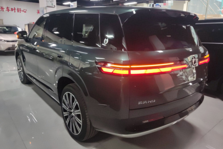 Denza N9 2025 #5 Denza N9 2025 car image #5