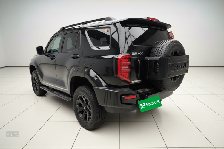 Tank 400 New Energy 2024 car image #5