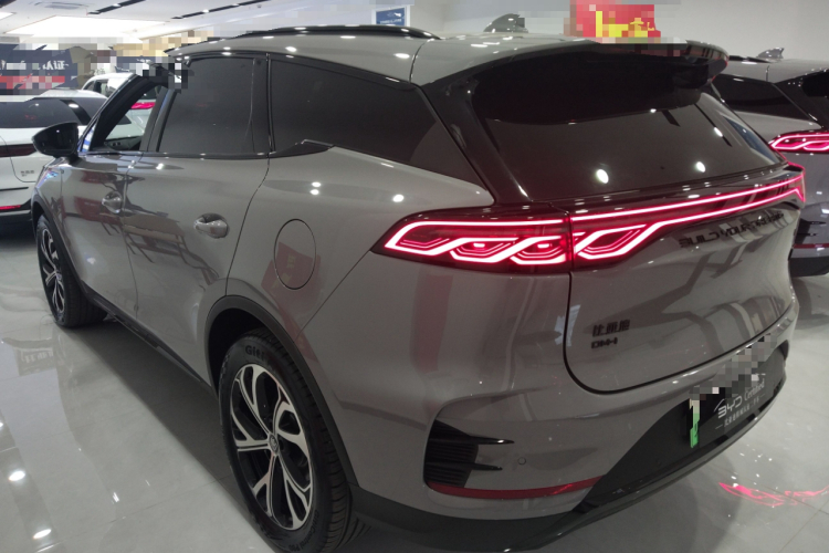 BYD Tang New Energy 2024 car image #5