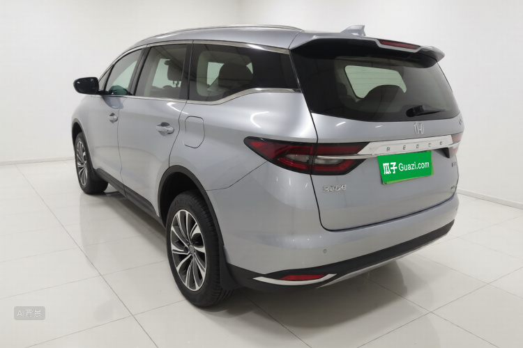 GEELY JiaJi New Energy 2019 immagine di auto #5