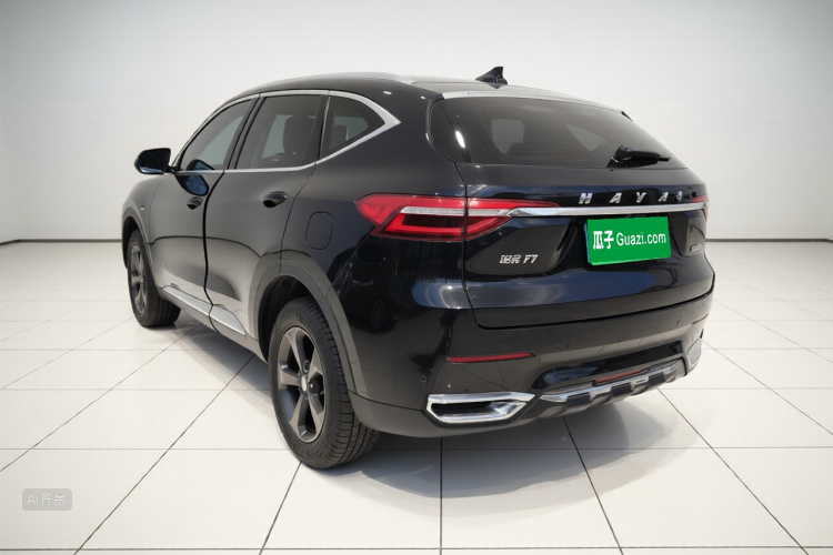 Haval F7 2019 car image #5