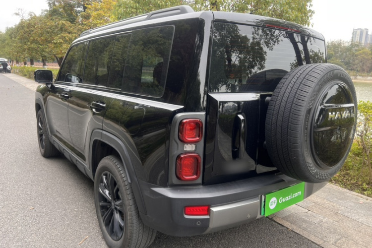 Haval Raptor New Energy 2023 car image #5