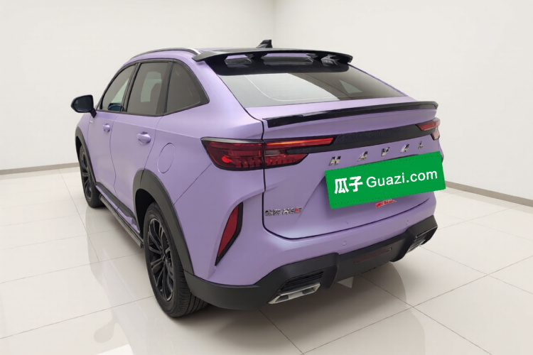 Haval H6S 2022 immagine di auto #5