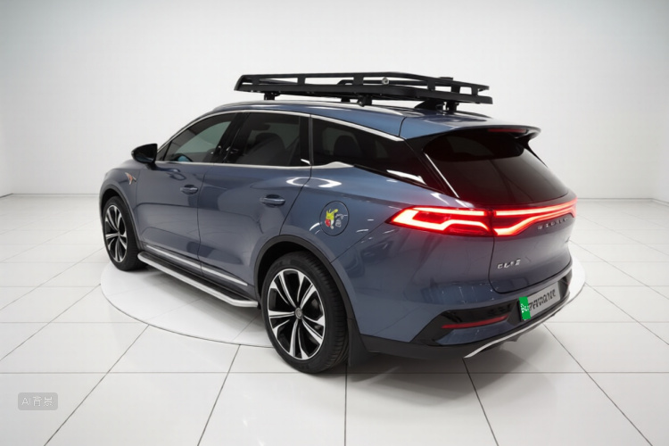 BYD Tang New Energy 2022 car image #5