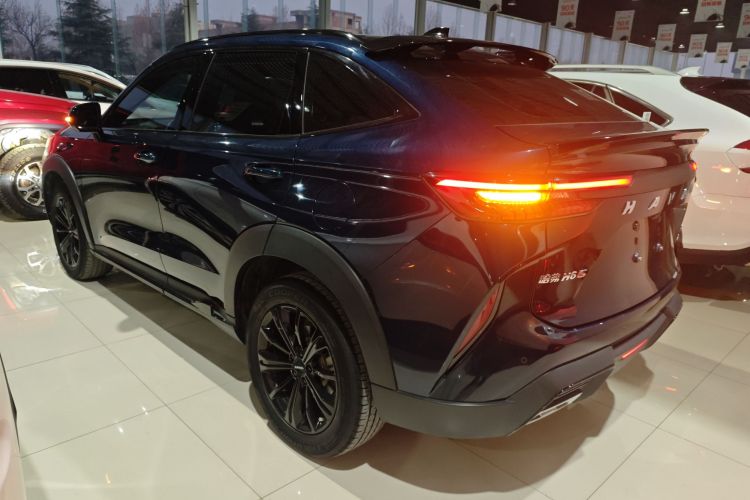 Haval H6S 2022 immagine di auto #5
