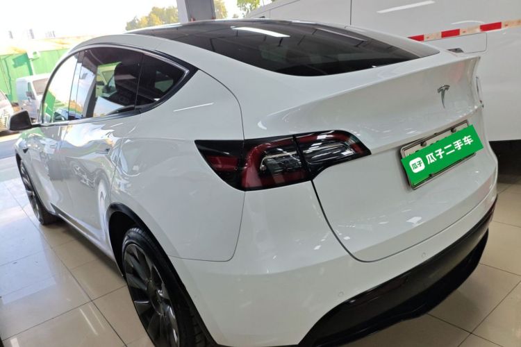 Tesla Model Y 2021 car image #5