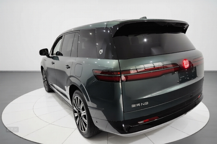 Denza N9 2025 immagine di auto #5