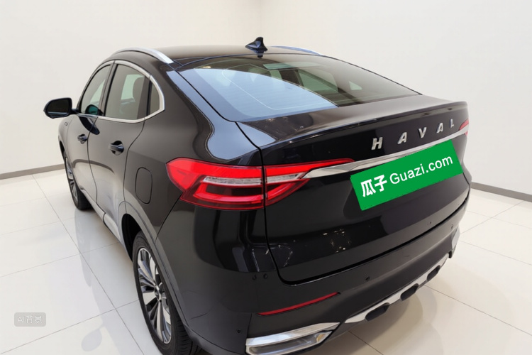 Haval F7x 2021 immagine di auto #5