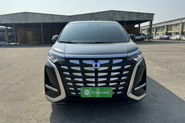 Denza D9 2025 car image #5