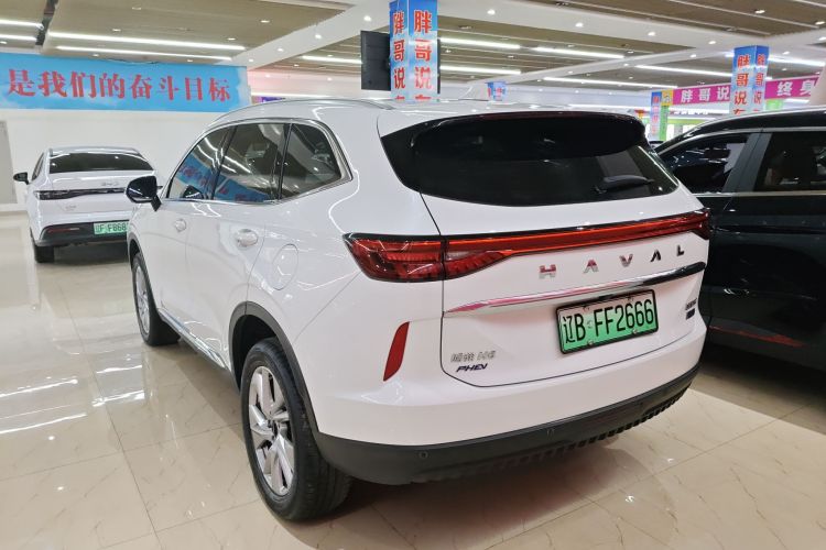 Haval H6 2022 car image #5