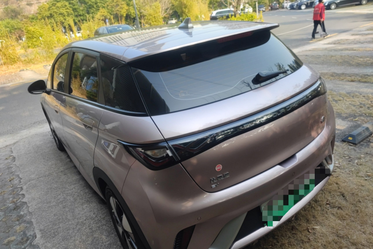 BYD Dolphin 2023 car image #5