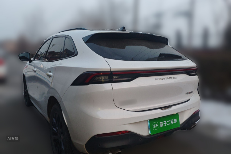 Forthing T5 EVO 2021 immagine di auto #5