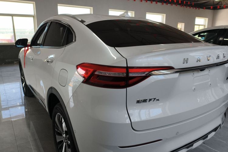 Haval F7x 2020 car image #5