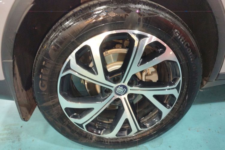 BYD Tang New Energy 2025 car image #5