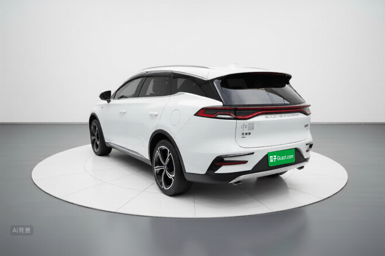 BYD Tang New Energy 2021 car image #5