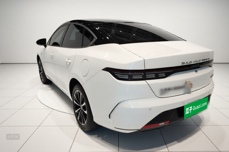 BYD Destroyer 05 2024 car image #5