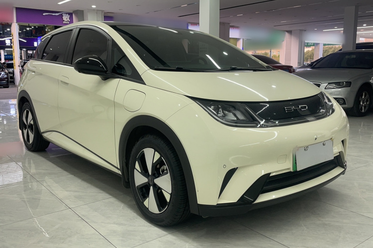 BYD Dolphin 2023 car image #5