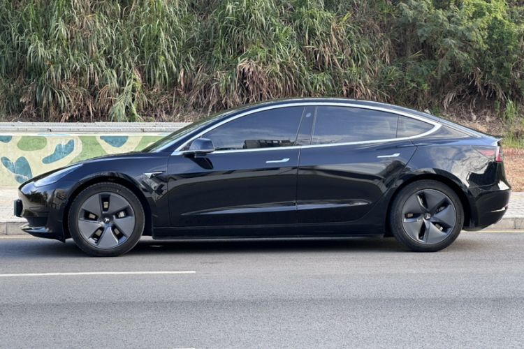 Tesla Model 3 2020 car image #5