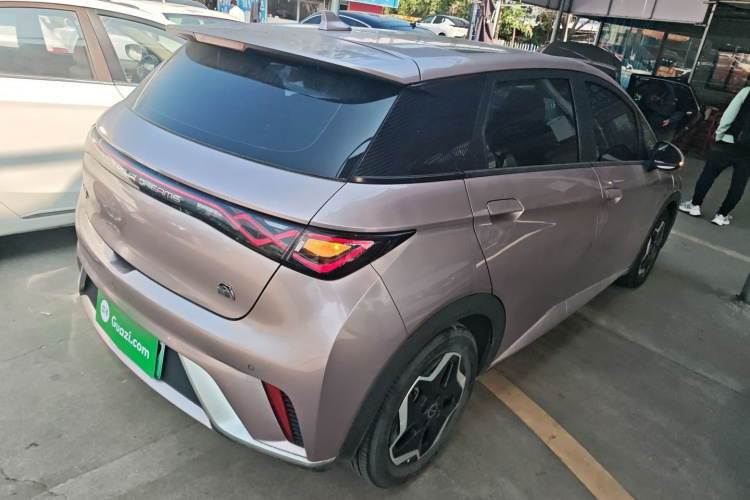 BYD Dolphin 2022 #5 BYD Dolphin 2022 car image #5