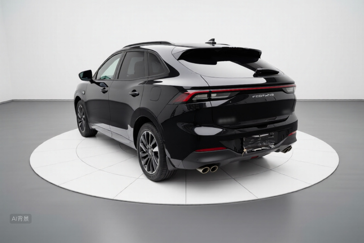T5 EVO 2021 car image #5