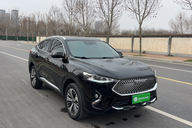 Haval F7x 2020 car image #5