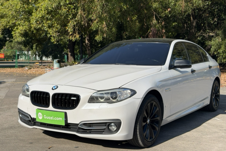 BMW 5 Series 2014 car image #5