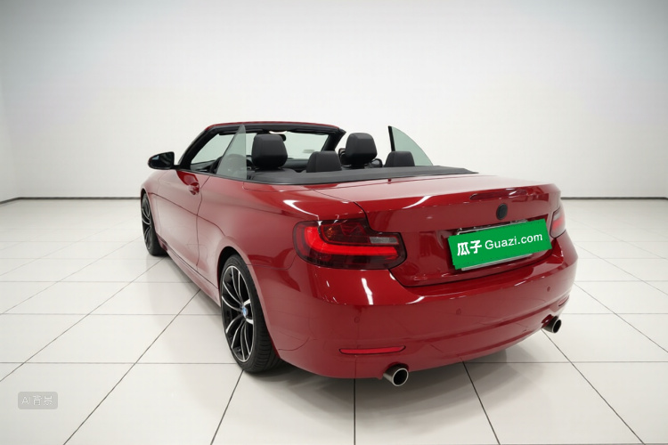 BMW 2 Series (Imported) 2017 imagen de coche #5