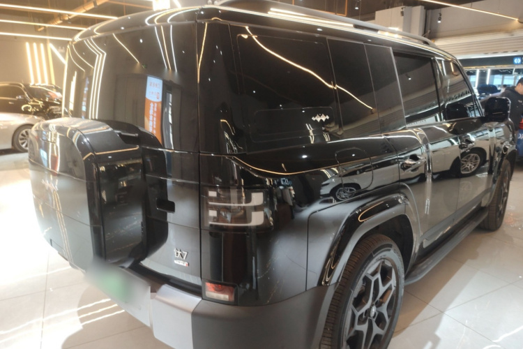 FangChengBao Tiger 7 2025 car image #5