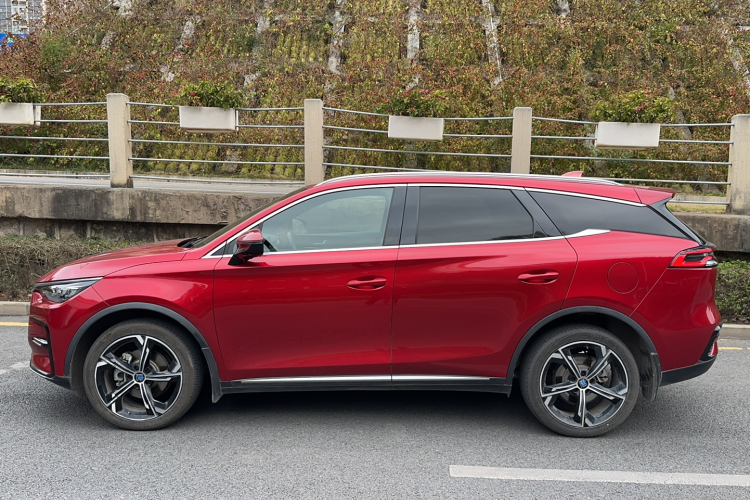 BYD Tang New Energy 2022 car image #5