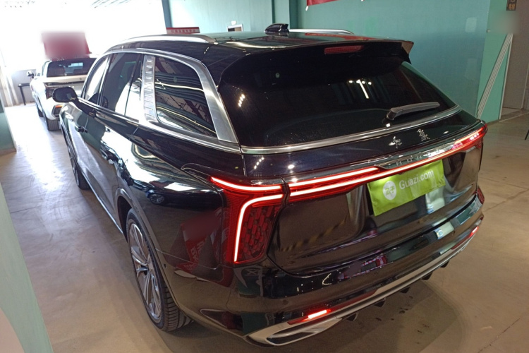 HongQi E-HS9 2021 صورة سيارة #5