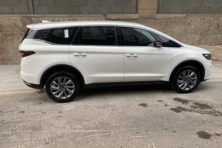 睿蓝汽车 枫叶80v PRO 2023 汽车图片 #5