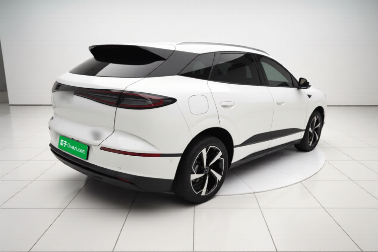 BYD Sea Lion 06 New Energy 2025 car image #5