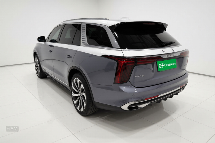 HongQi E-HS9 2022 car image #5