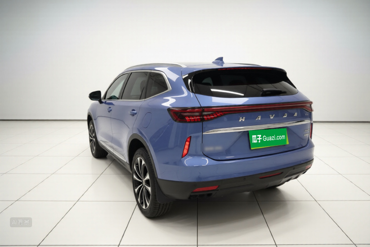 Haval H6 2021 immagine di auto #5