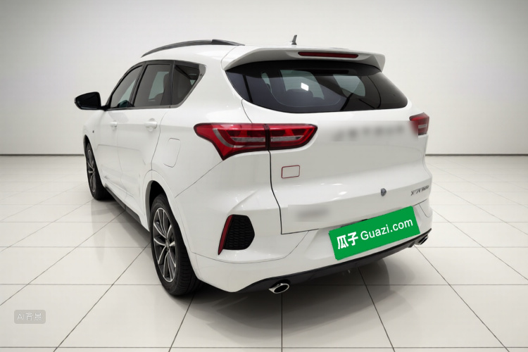 Jetour X70 2021 car image #5