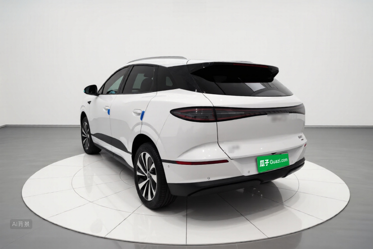 BYD Sea Lion 06 New Energy 2025 car image #5