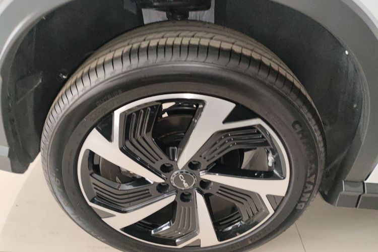 BYD Sea Lion 05 DM-i 2025 car image #5