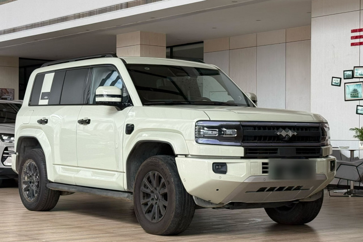 FangChengBao Leopard 5 2025 car image #5