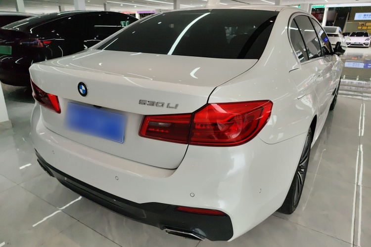 BMW 5 Series 2020 car image #5