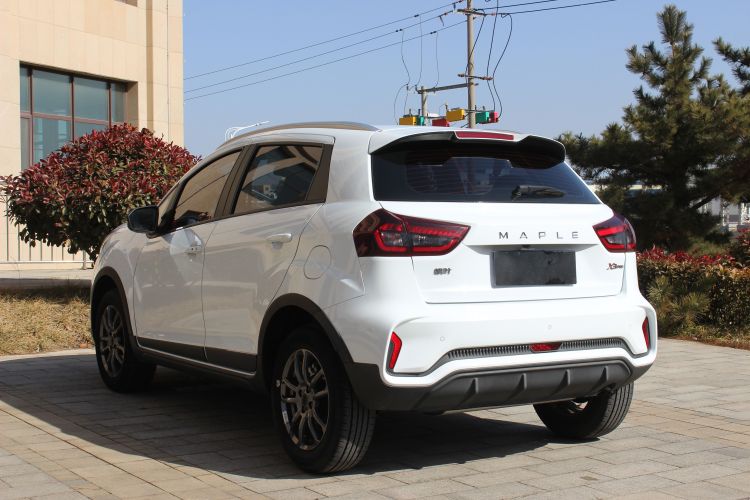 睿蓝汽车 睿蓝汽车X3 PRO 2023 汽车图片 #5