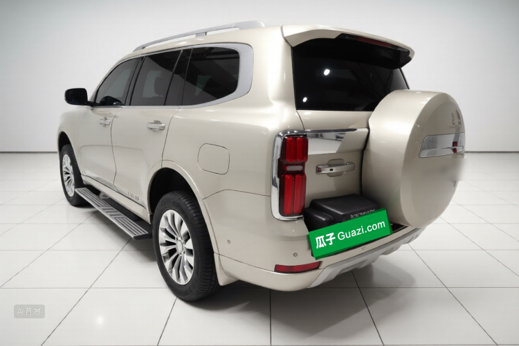 Tank 500 2023 immagine di auto #5