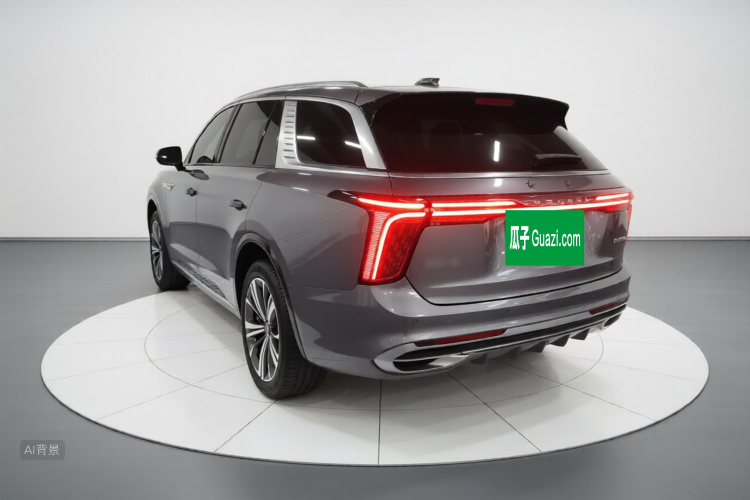 HongQi E-HS9 2023 car image #5