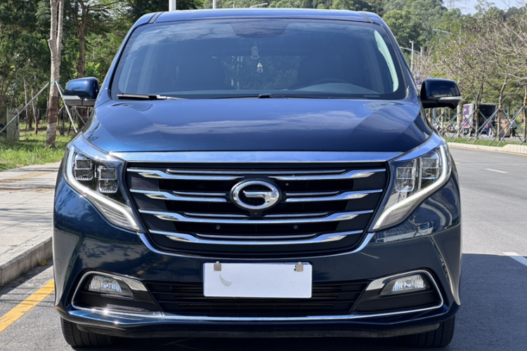 GAC Trumpchi M8 2019 car image #5