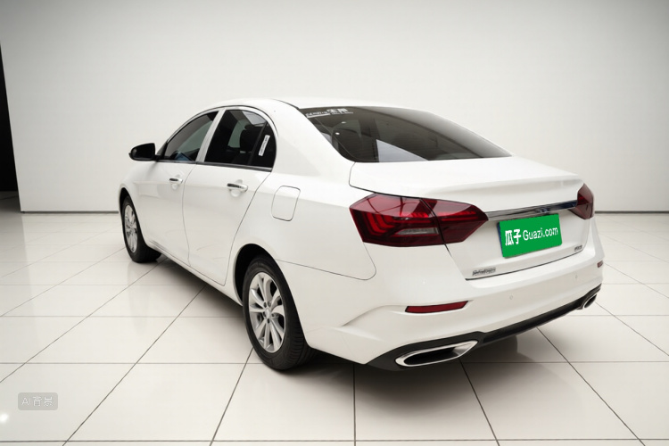 Emgrand 2022 #5 Emgrand 2022 immagine di auto #5