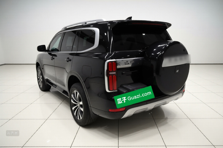 Tank 500 2022 immagine di auto #5