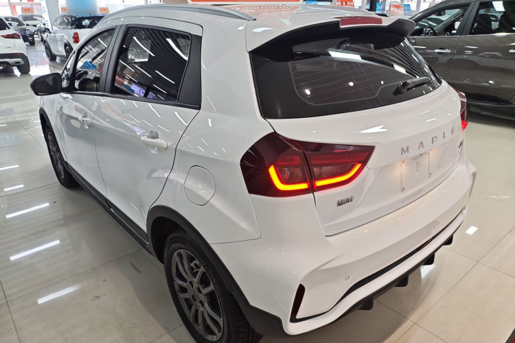 X3 PRO 2023 #5 X3 PRO 2023 car image #5