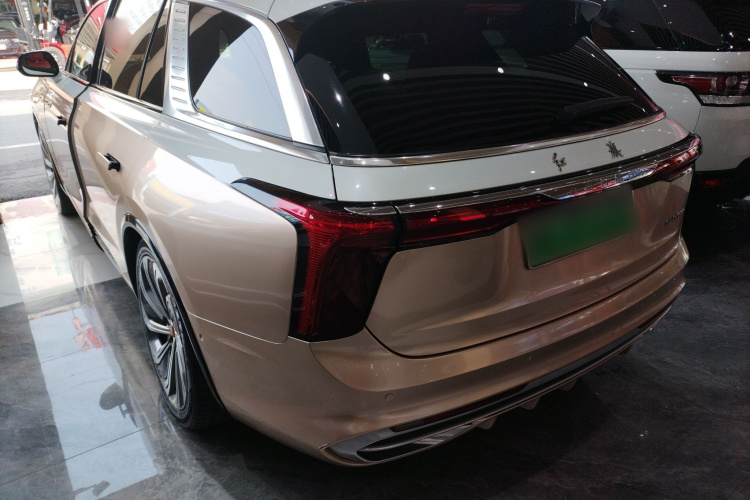 HongQi E-HS9 2021 imagem de carro #5