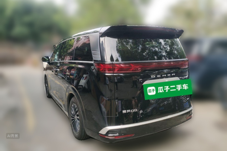 Denza D9 2023 imagem de carro #5